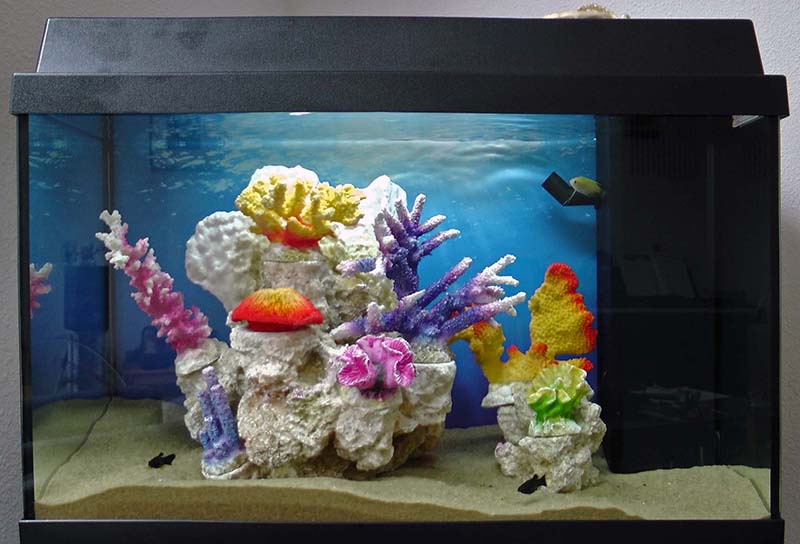hemmel-aquarium.jpg