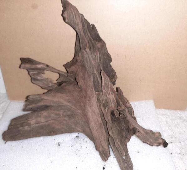 Hout.jpg