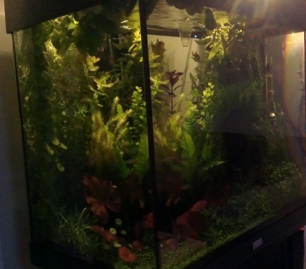 IMAG0076.jpg