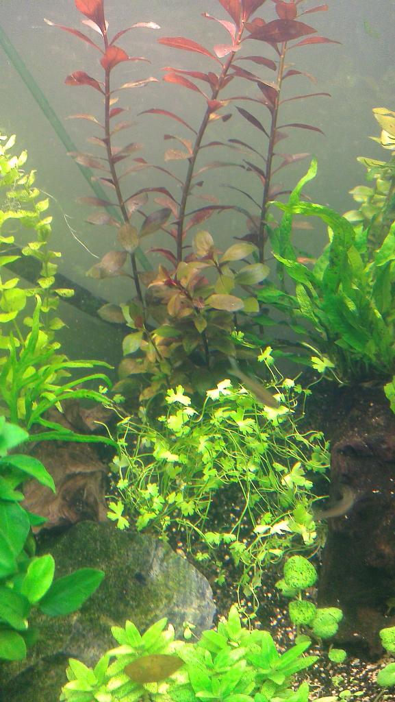 IMAG0265.jpg