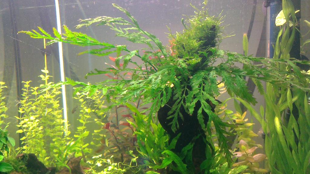 IMAG0276.jpg