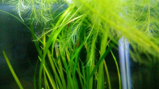 image-2017-06-03 (1).jpg