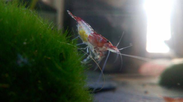 image-2017-06-03 (2).jpg