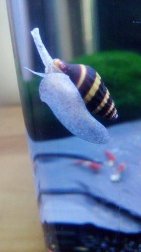 image-2017-06-03 (3).jpg