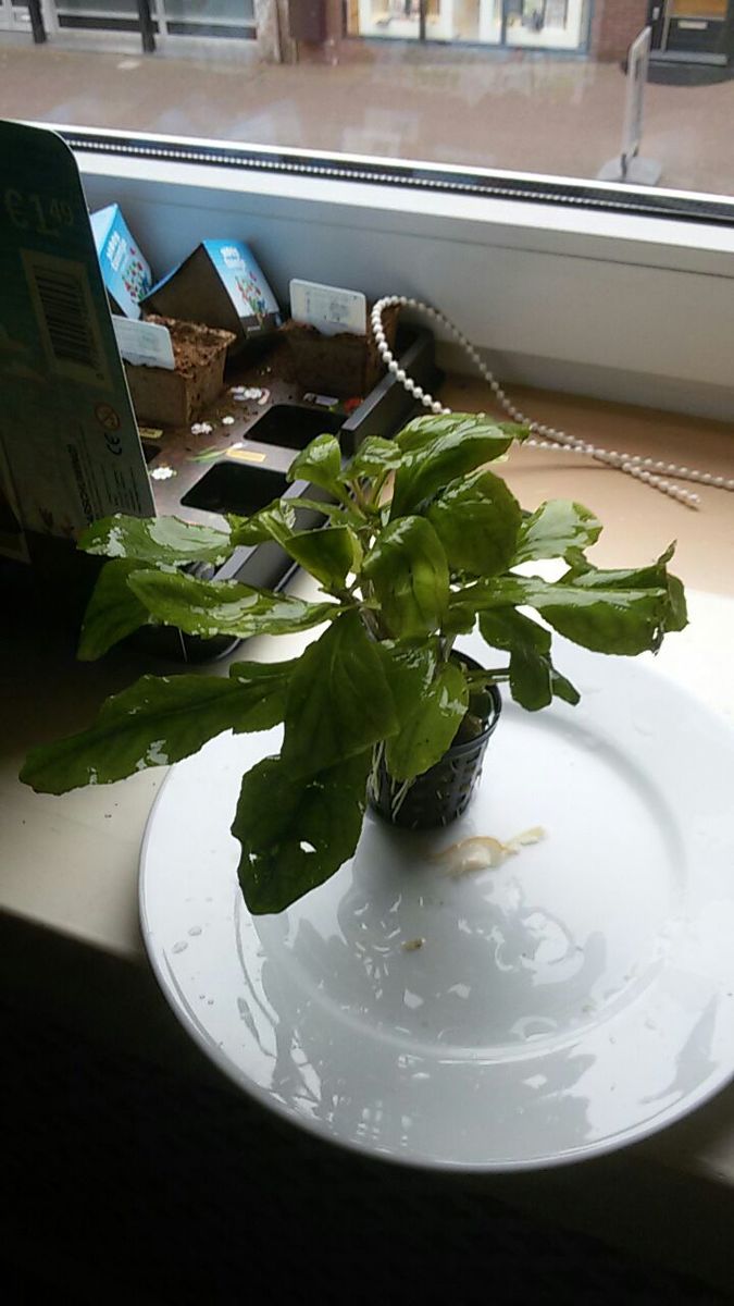img-20150314-wa0009.jpg