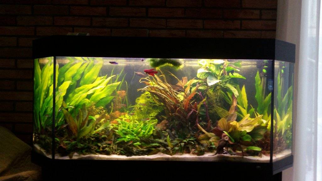 IMG-20161028-WA0000 (1).jpeg