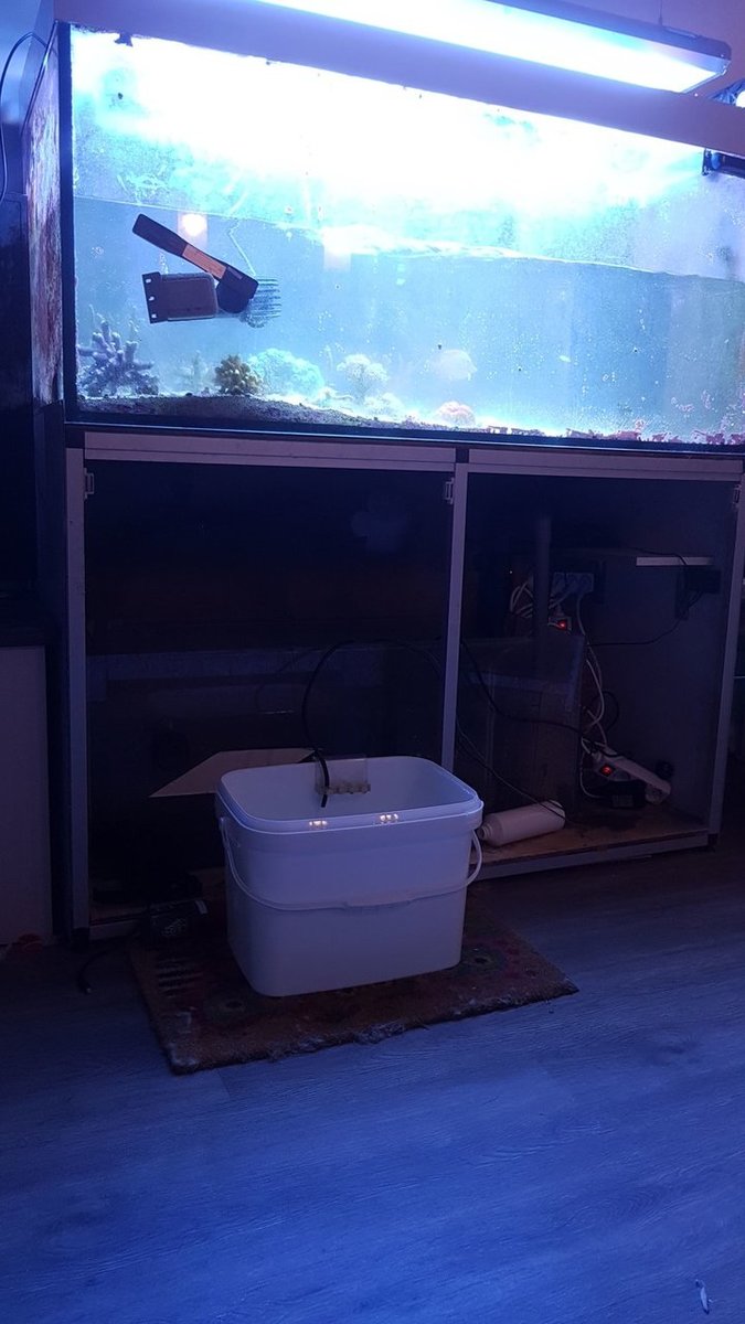 IMG-20171205-WA0093.jpeg