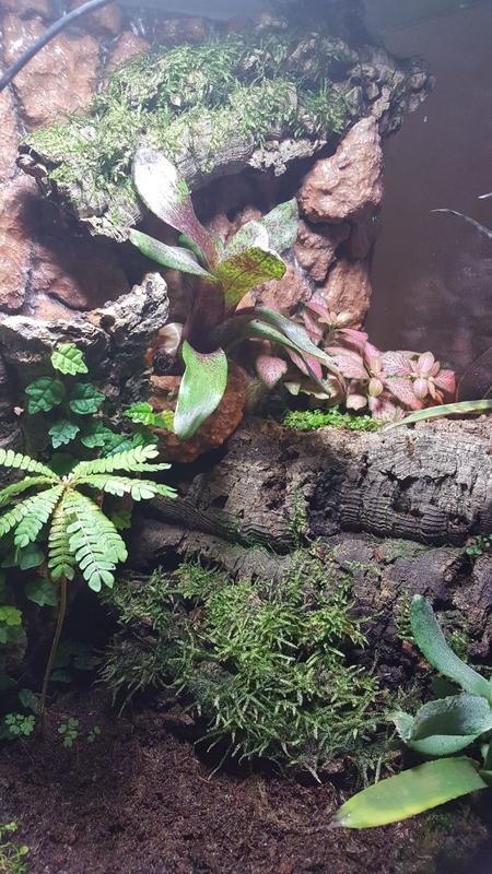 IMG-20180212-_WA0008.jpg