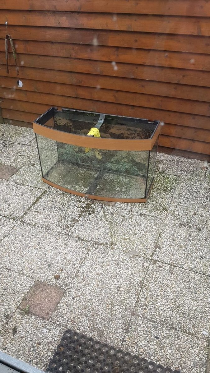 IMG-20180325-WA0005.jpg