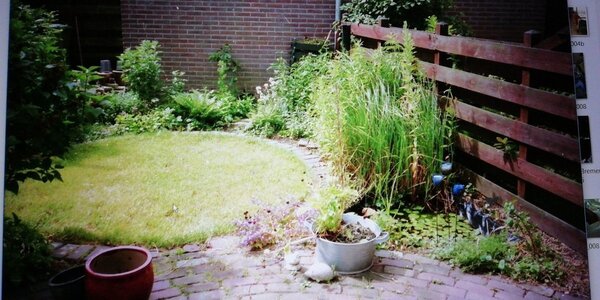 IMG-20180424-WA0001.jpeg
