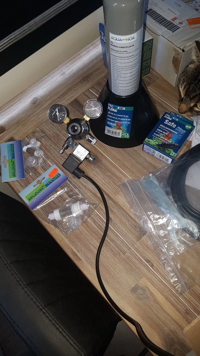IMG-20180502-WA0006.jpeg