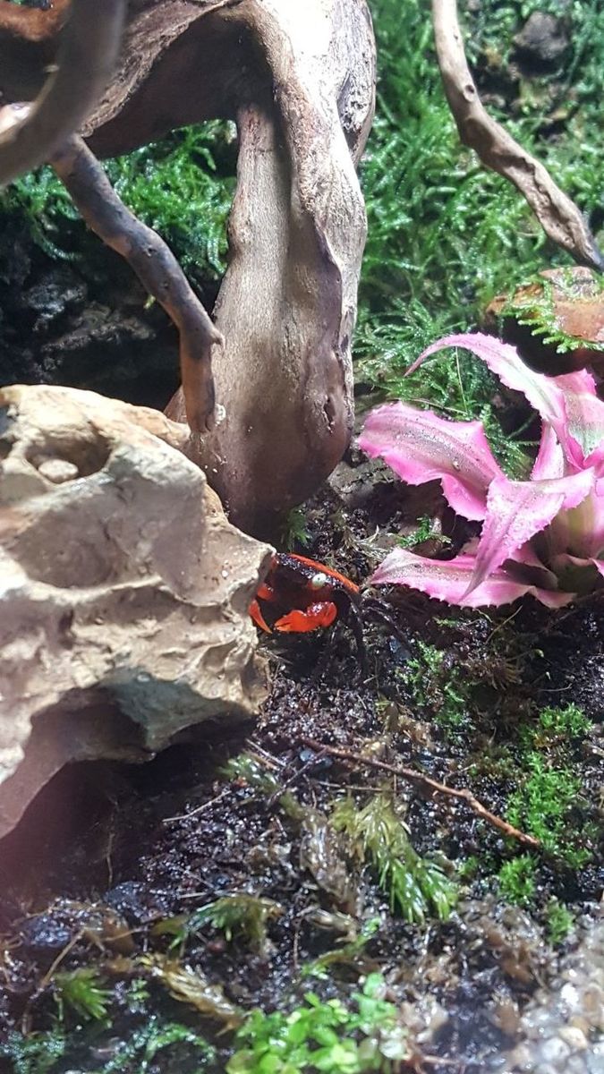 IMG-20180504-WA0017.jpg