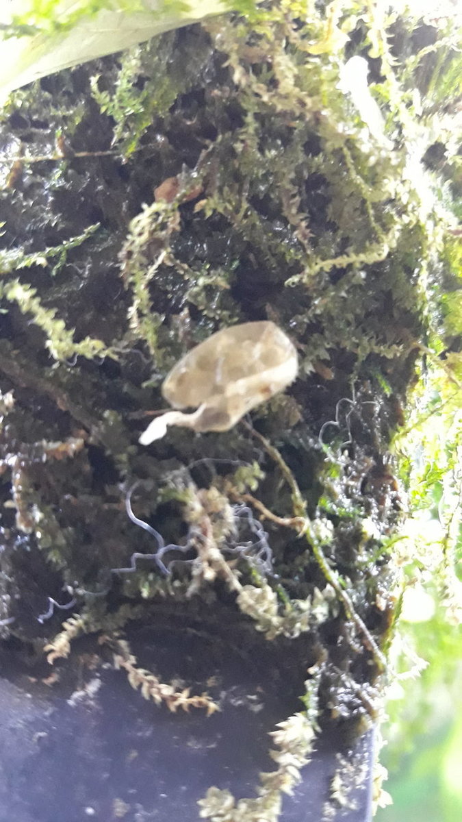 IMG-20180530-WA0005.jpeg
