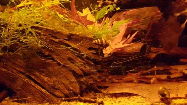 IMG-20180721-WA0043.jpg