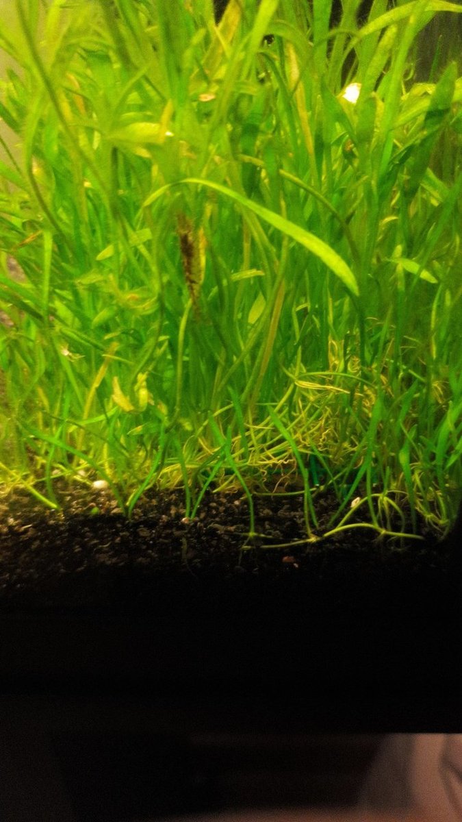 IMG-20190322-WA0006[105].jpeg