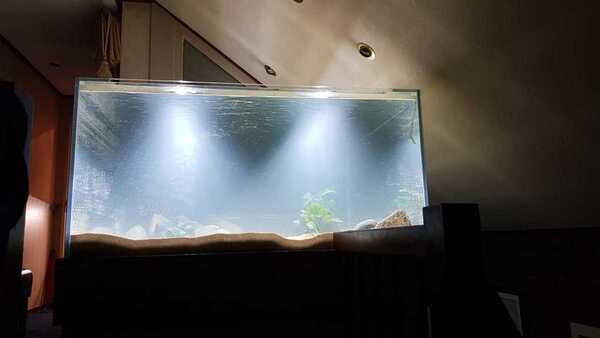 IMG-20190413-WA0011.jpg