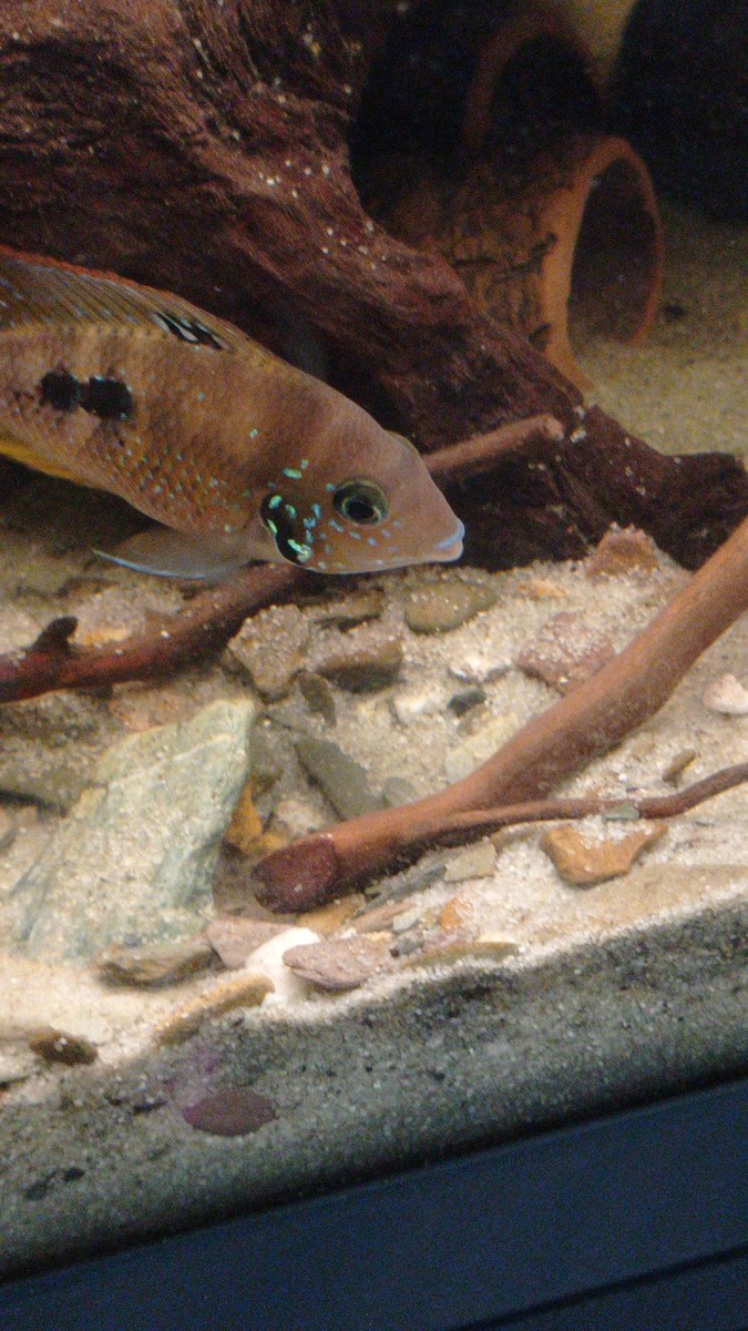 IMG-20211130-WA0009.jpeg