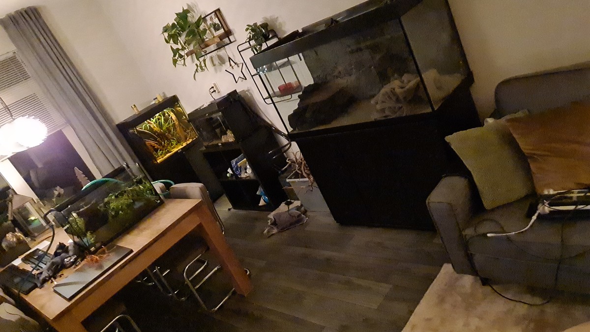 IMG-20211223-WA0021.jpeg