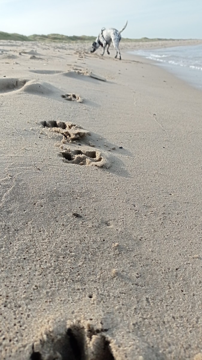 IMG-20220902-WA0012.jpeg
