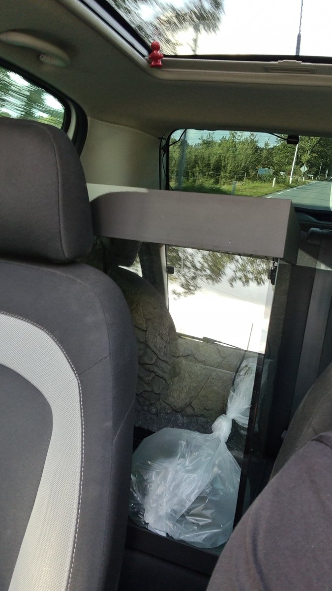 IMG-20220916-WA0004.jpeg