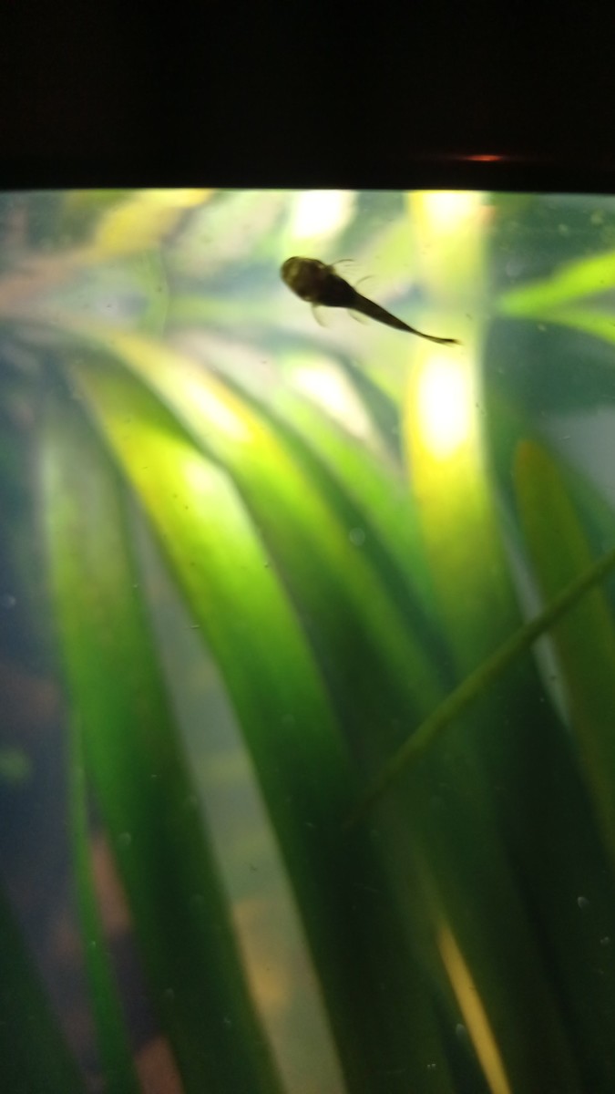 IMG-20221023-WA0012.jpeg