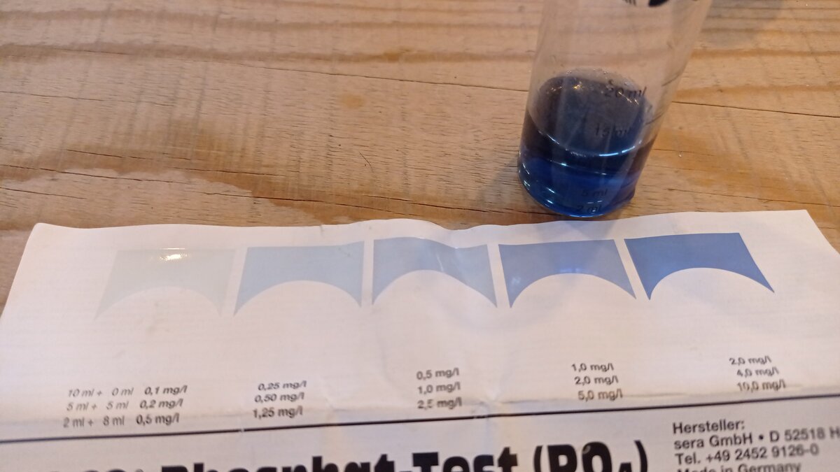 IMG-20230225-WA0008.jpeg