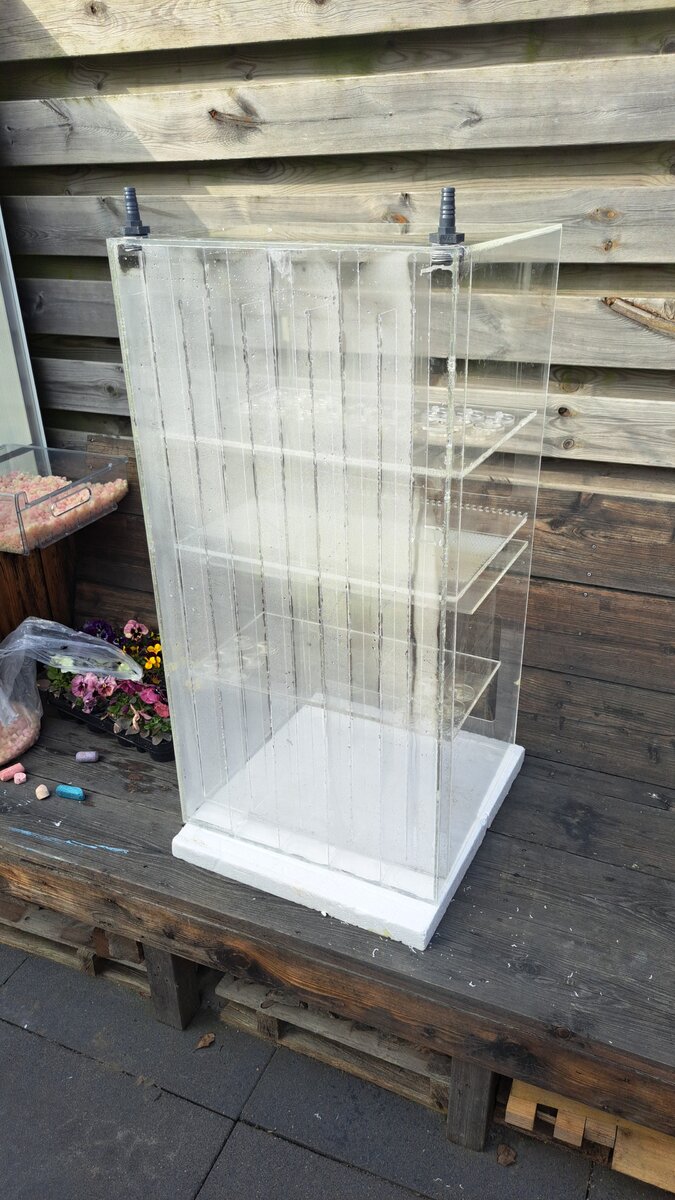 IMG-20230408-WA0012.jpeg