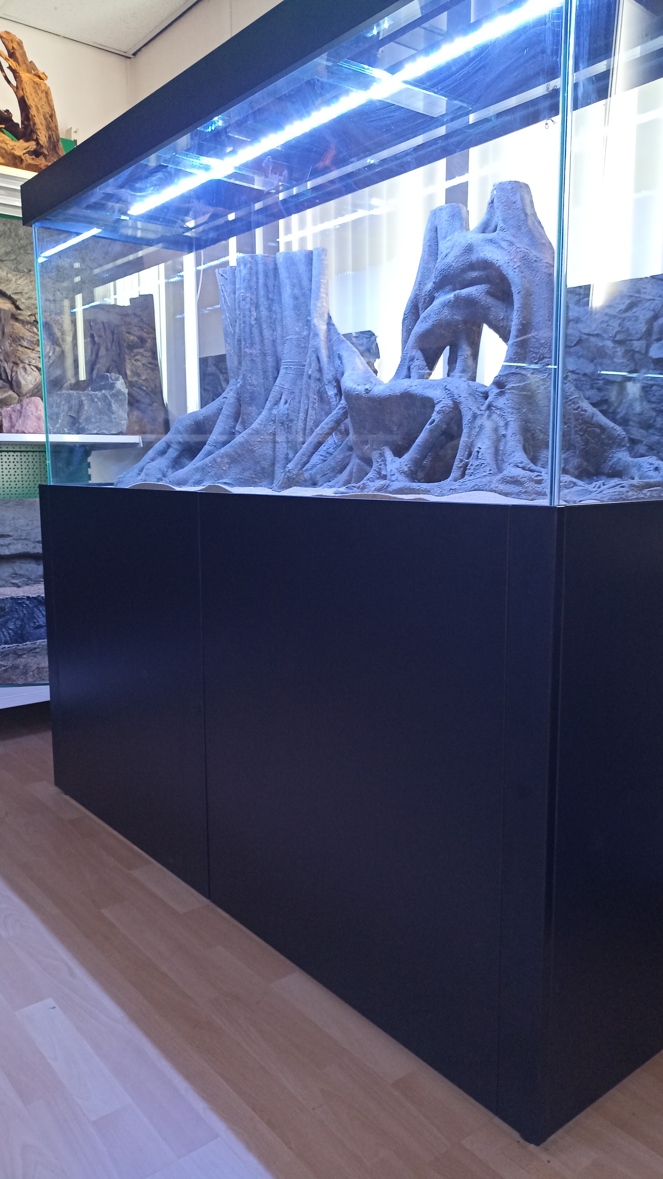 IMG-20240302-WA0129.jpeg