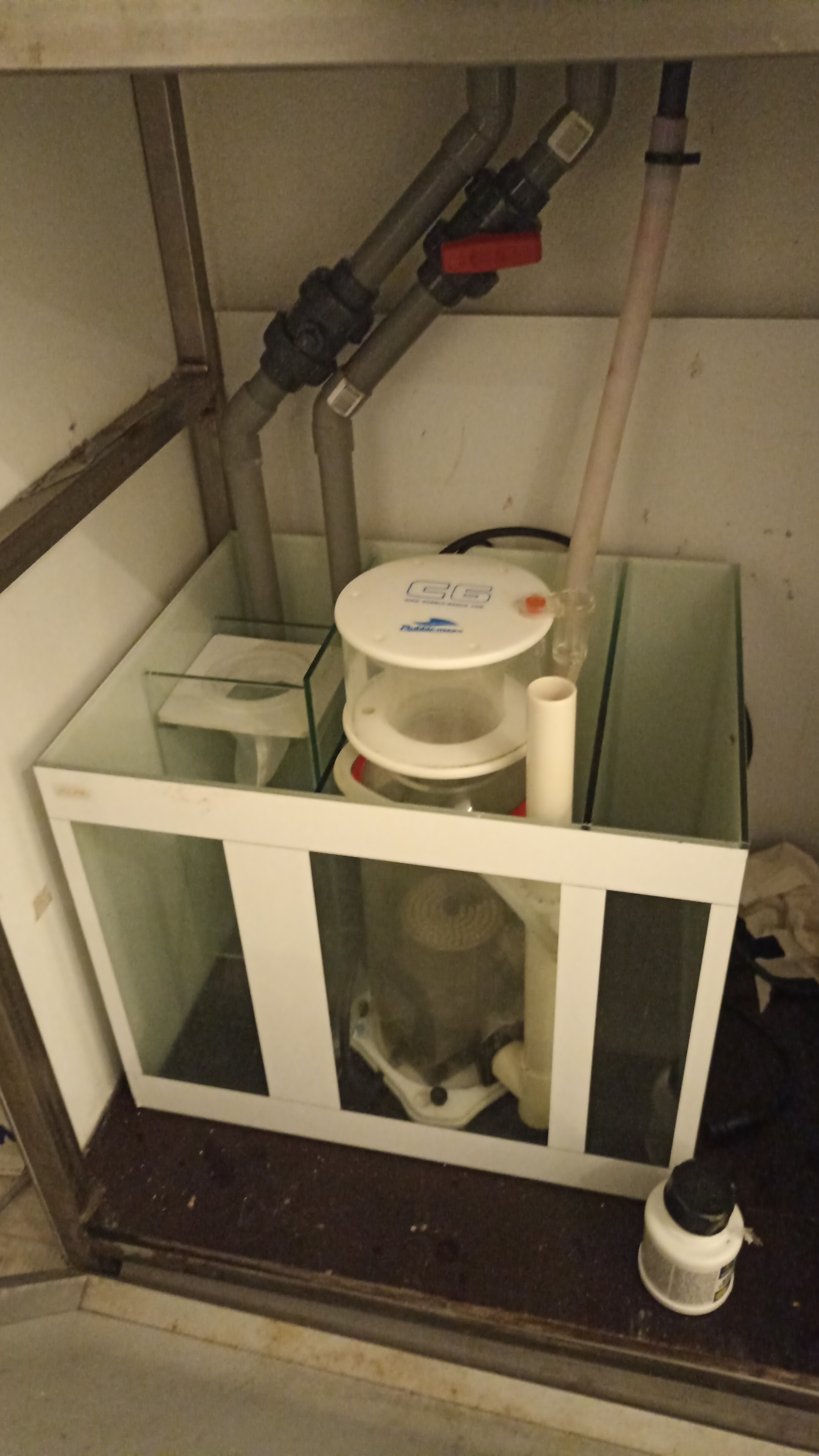IMG-20240330-WA0122.jpeg