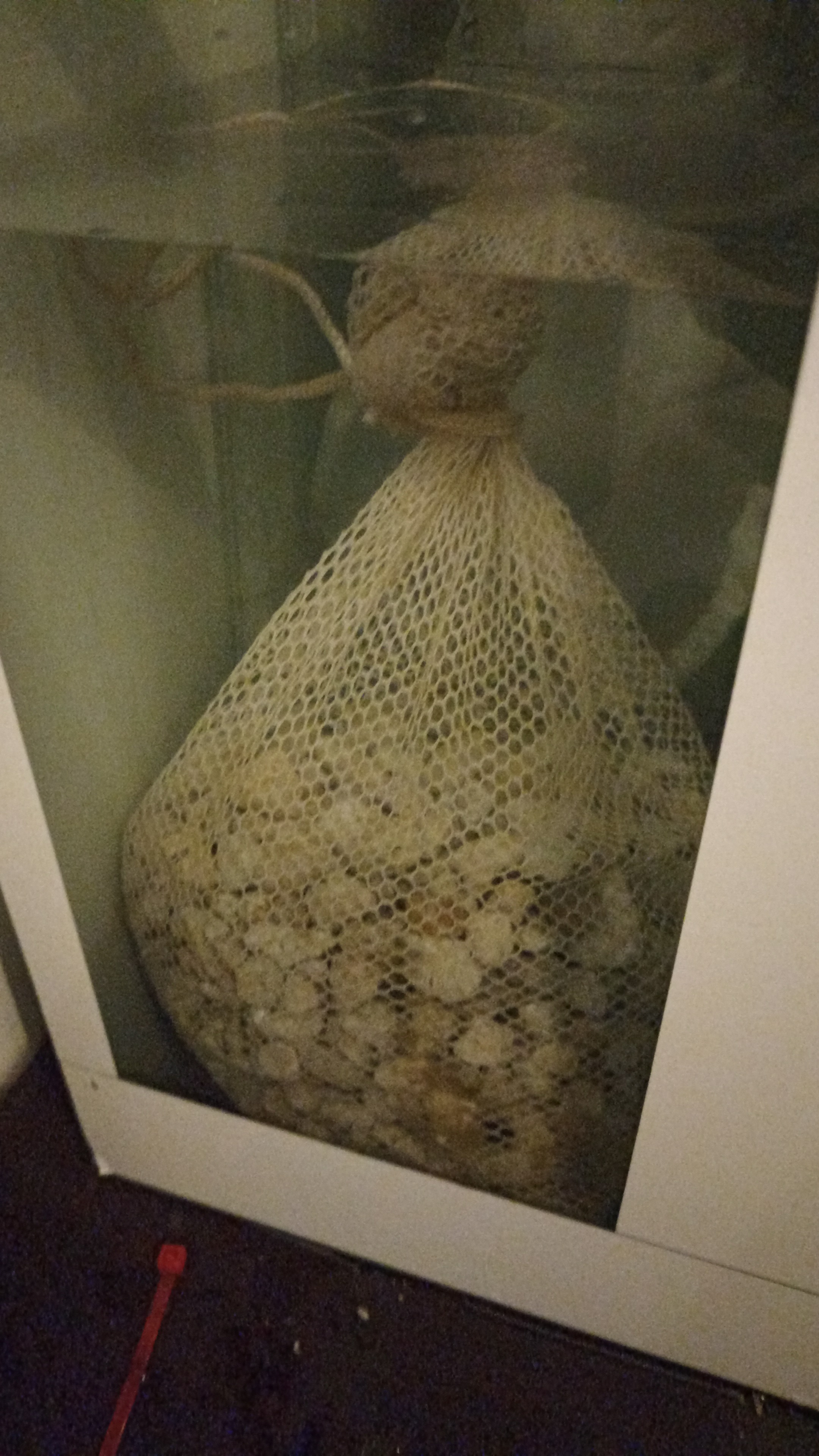 IMG-20240331-WA0166.jpeg