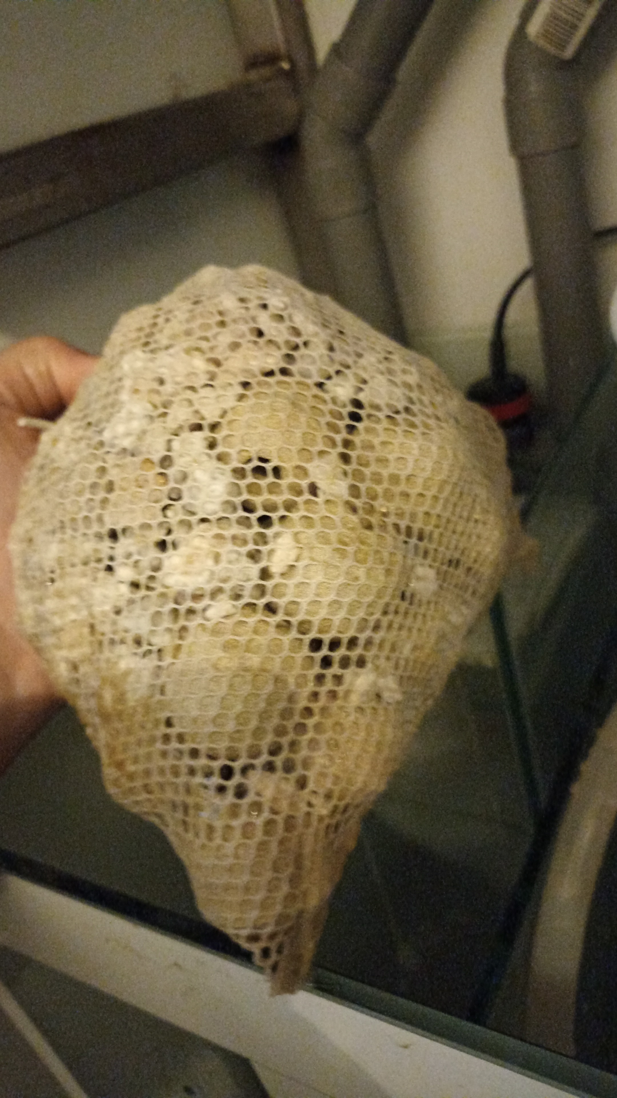 IMG-20240331-WA0168.jpeg