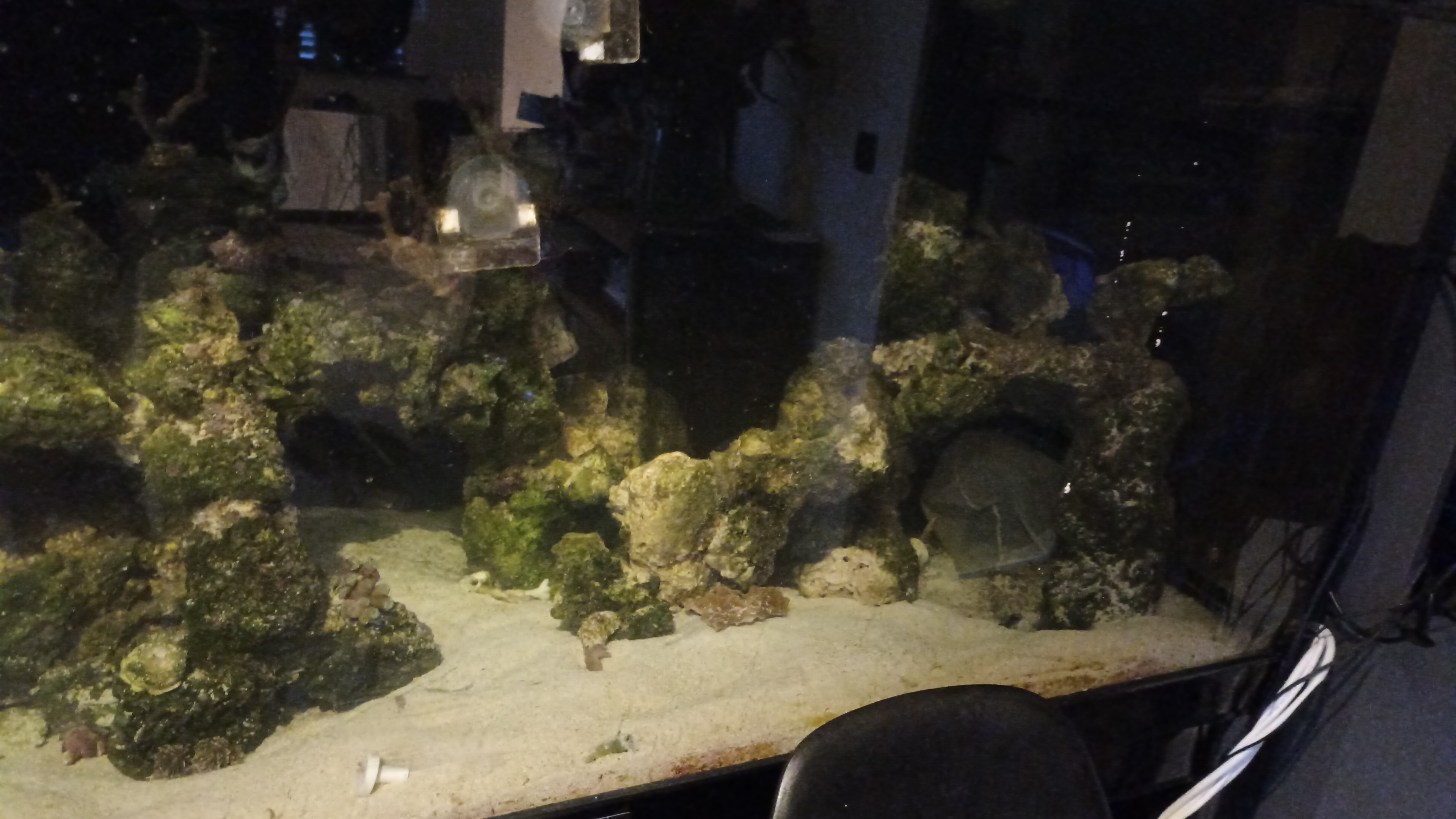 IMG-20240401-WA0006.jpeg