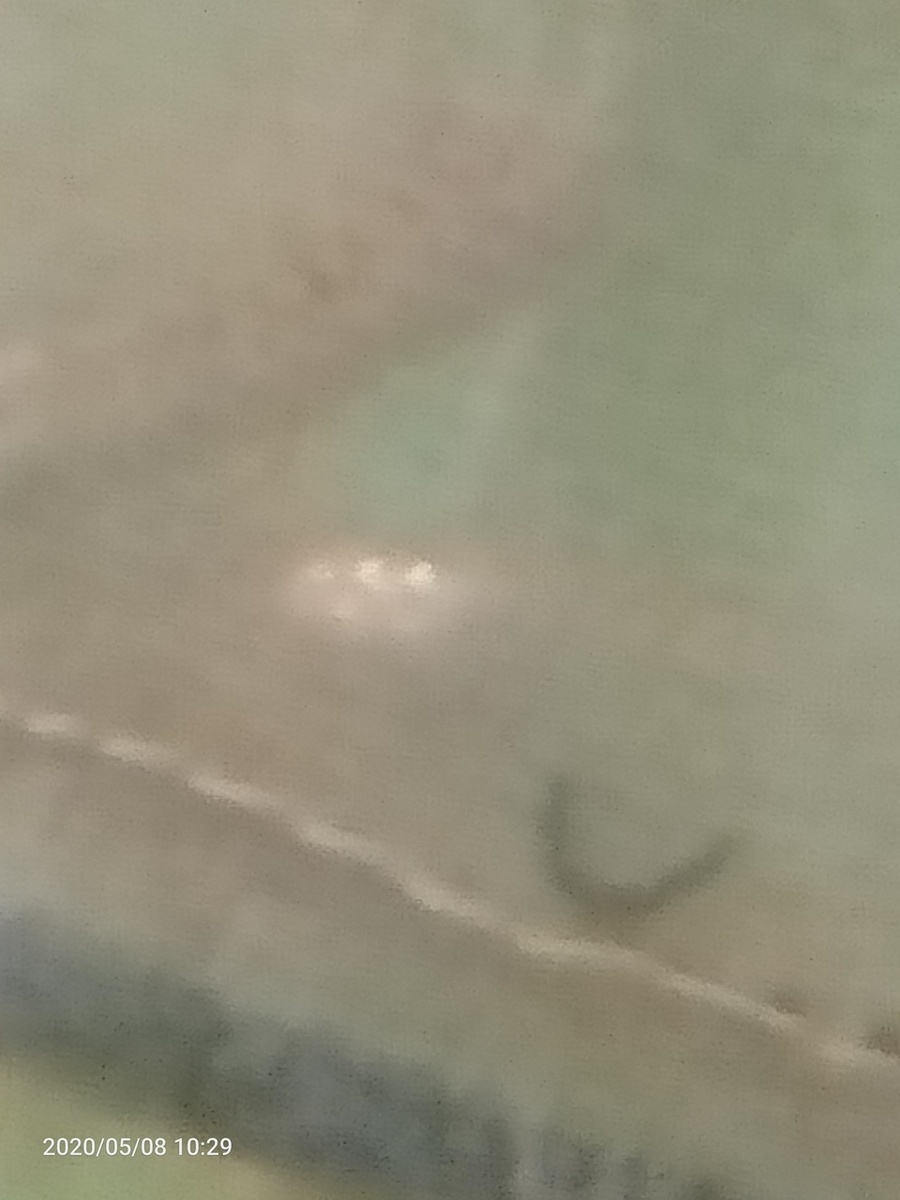 IMG20200508102920.jpg