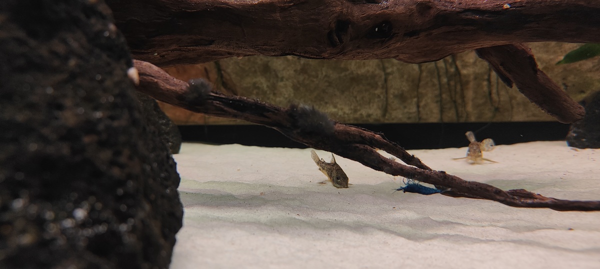 IMG20221030112016.jpg
