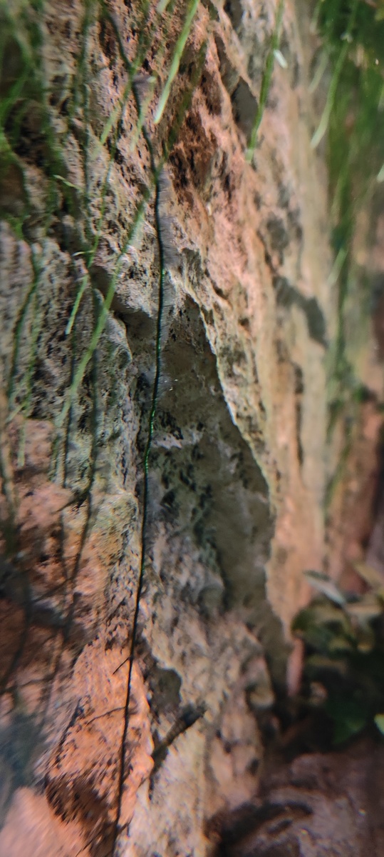 IMG20221030112113.jpg