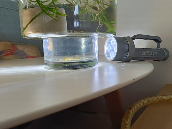 IMG20230512124948.jpg