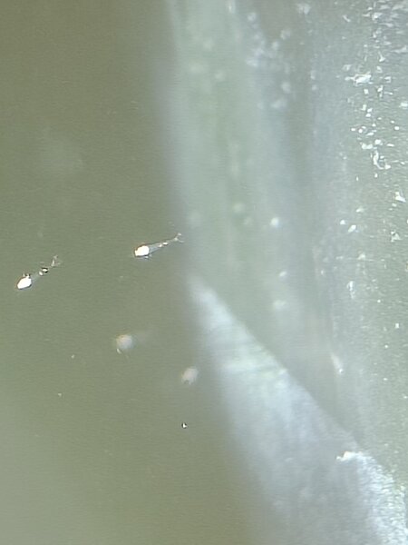 IMG20230512182246.jpg