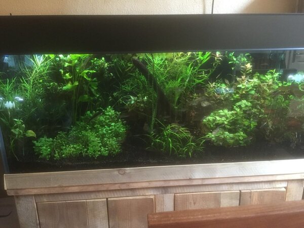 IMG_0046.JPG