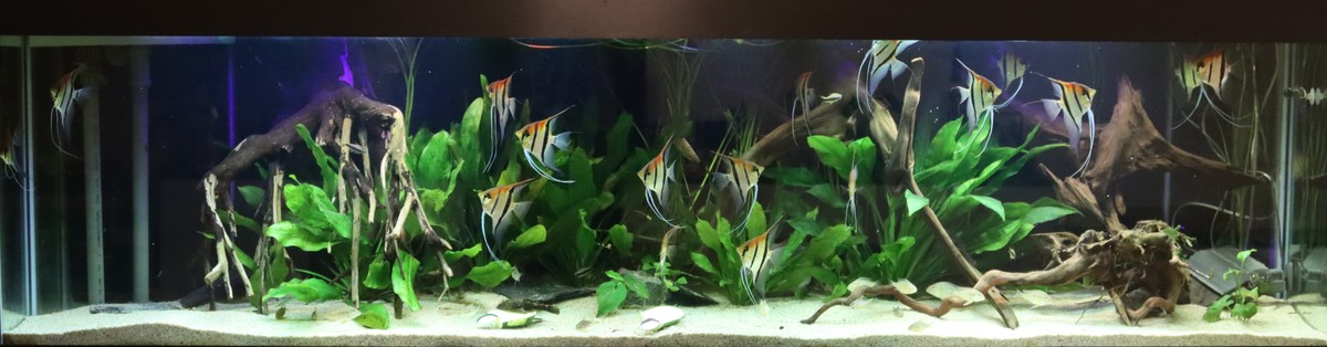 IMG_0837-1.jpg
