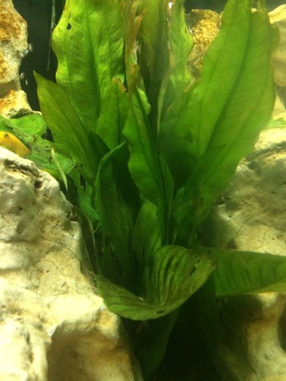 IMG_0903.JPG