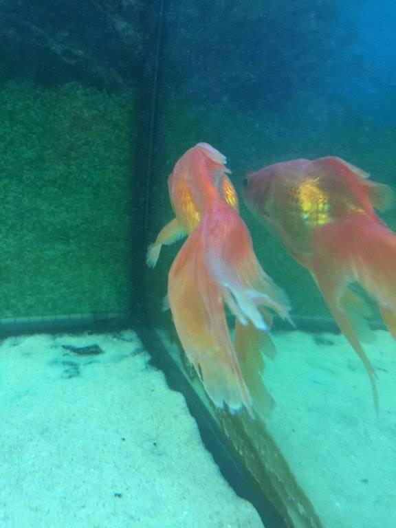 IMG_1039.JPG