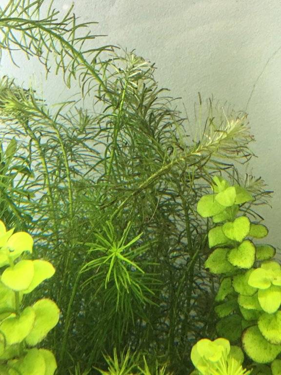 IMG_1133.JPG