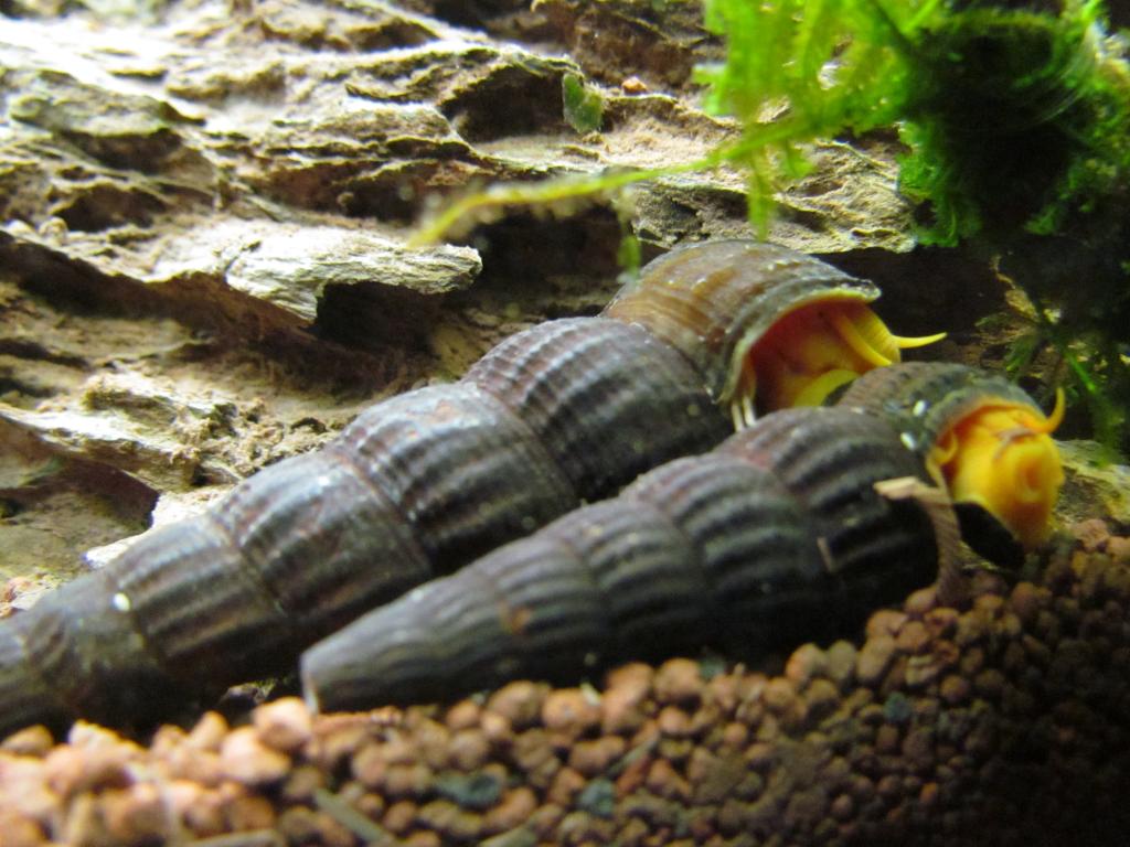 IMG_1852_zps3790c2e0.jpg