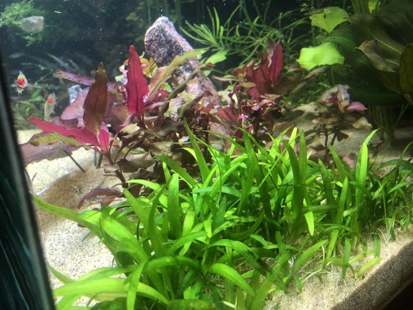 IMG_1888.JPEG