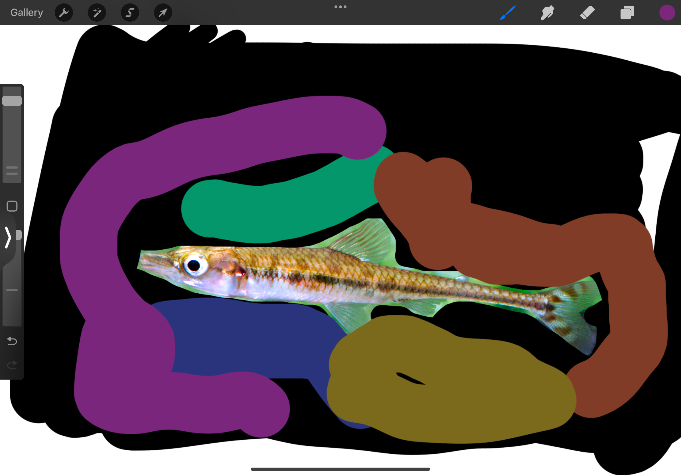 IMG_1998.png