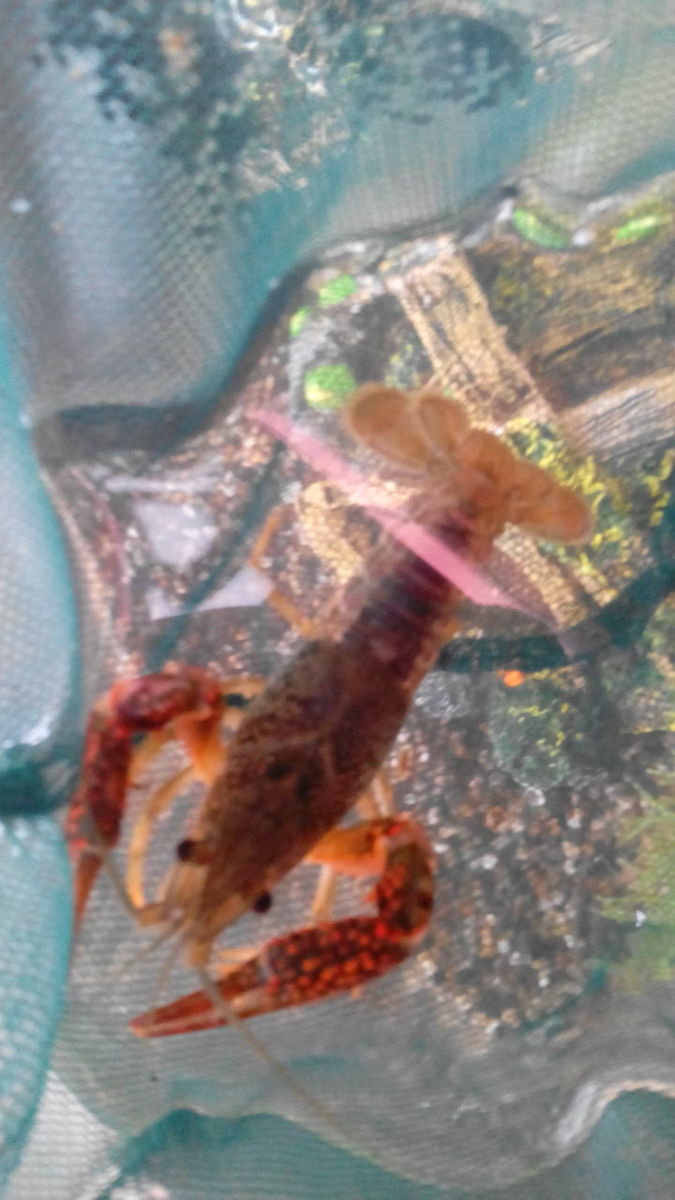 img_20130908_133518.jpg