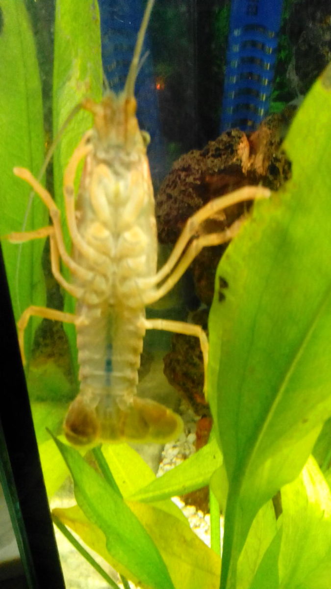 img_20130915_130927.jpg
