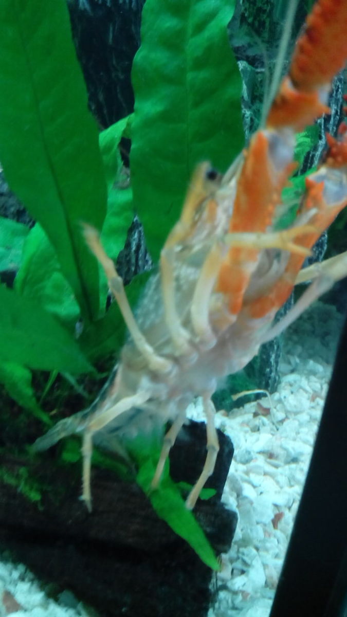img_20130916_150009.jpg