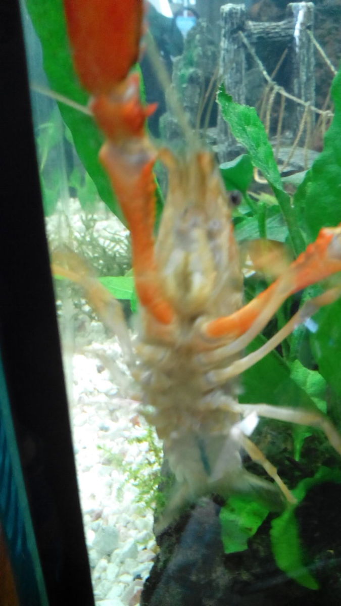 img_20130916_150017.jpg