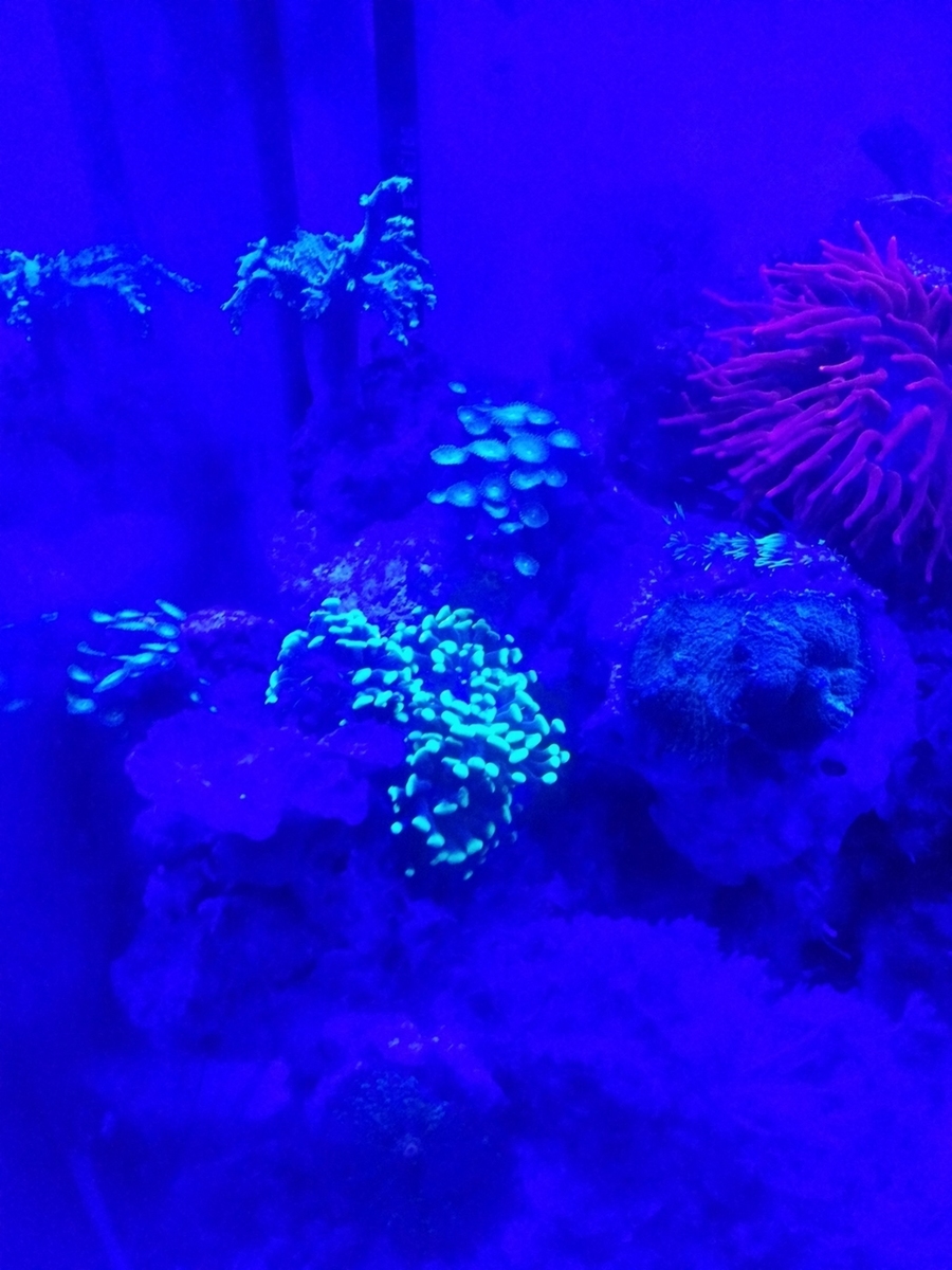 IMG_20140318_WA0037.jpg